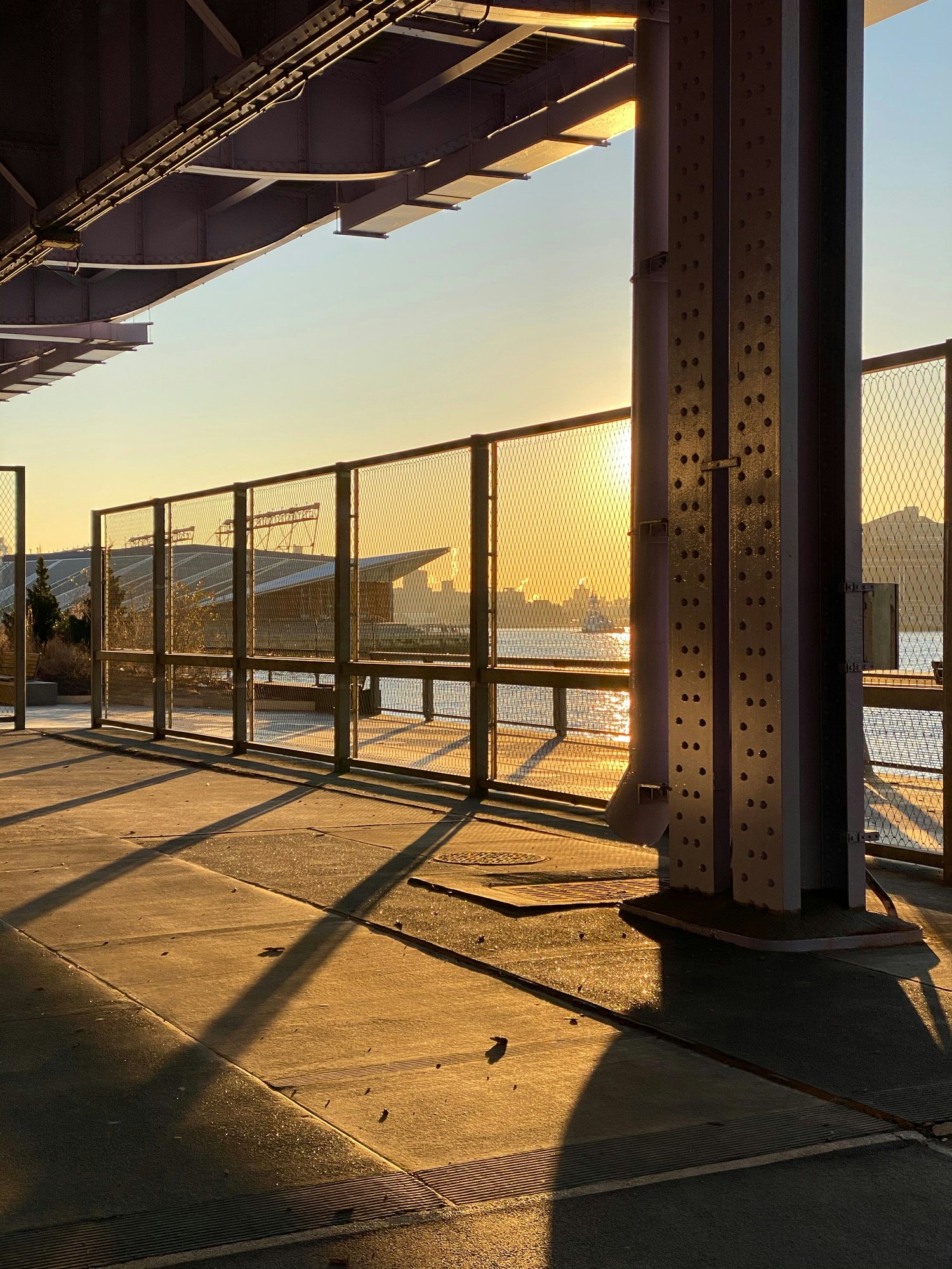 jeffrey-blum-HKltuLMZw3I-unsplash